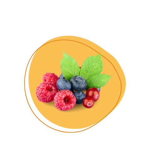 Sélection de fruits