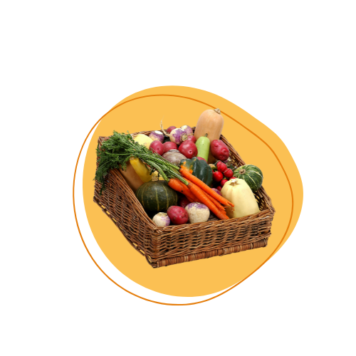 Sélection de légumes